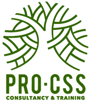 Pro CSS